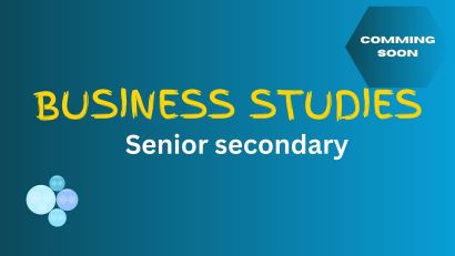 Business Studies Sr Secondary